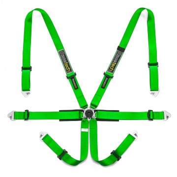 Racetech Pro International 6-Point Harness