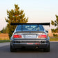 BMW E46 3-Series / M3 GTC300 Carbon Fiber Adjustable Wing