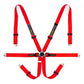Racetech Pro International 6-Point Lightweight GT Harness