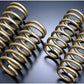 Tein 95-99 Maxima H. Tech Springs