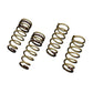 Tein 95-99 Maxima H. Tech Springs